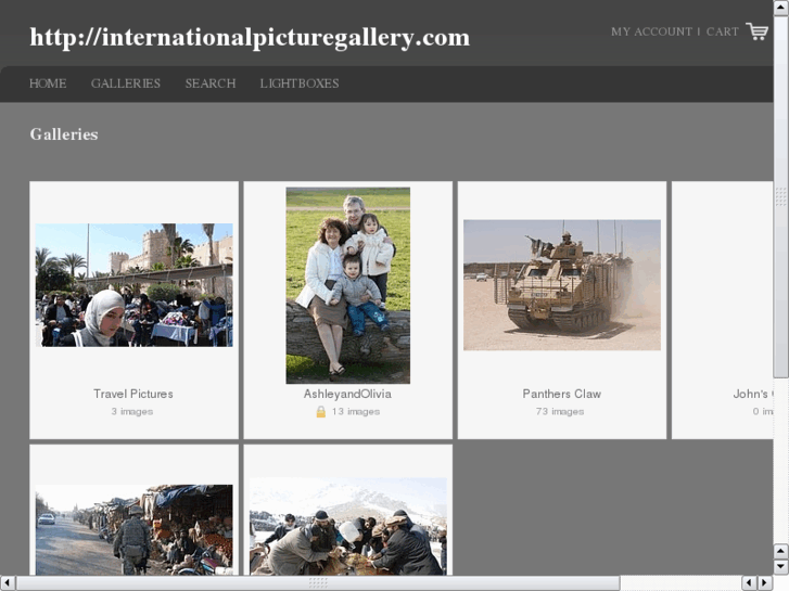 www.internationalpicturegallery.com