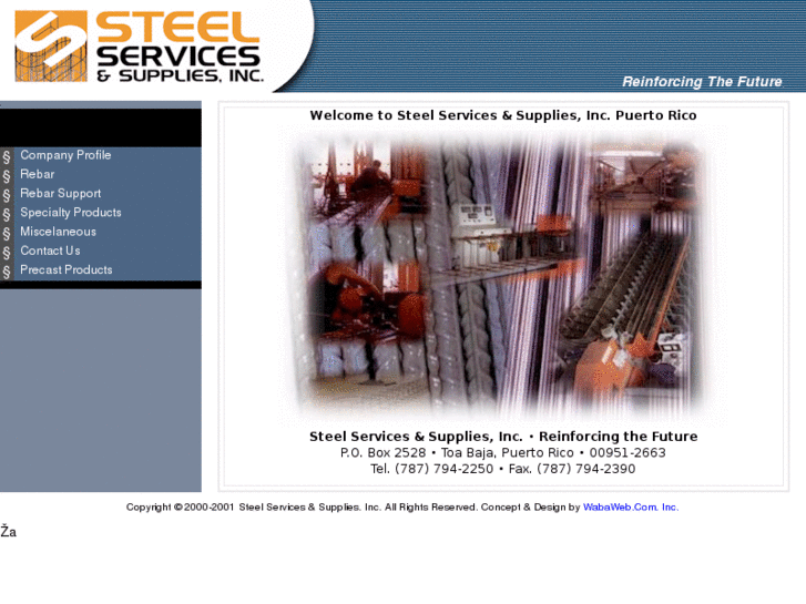 www.steelservicespr.com