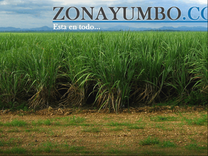 www.zonayumbo.com