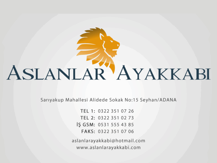 www.aslanlarayakkabi.com