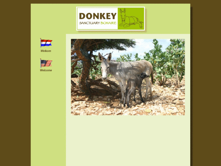 www.donkeyhelp.com