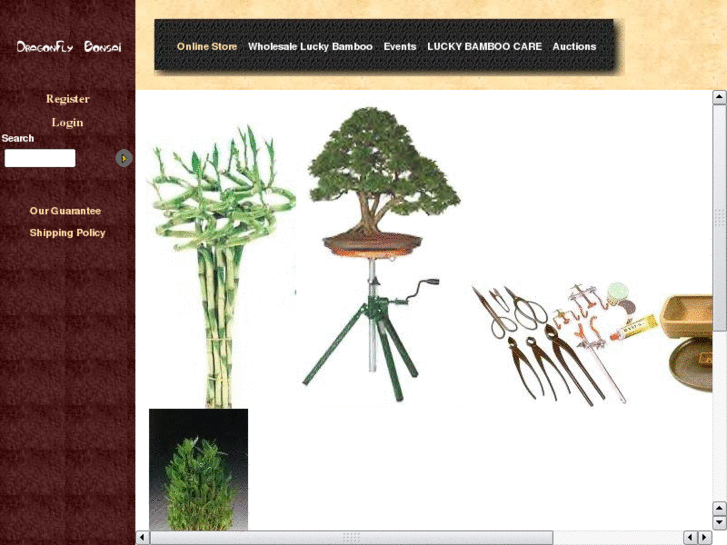 www.dragonflybonsai.com