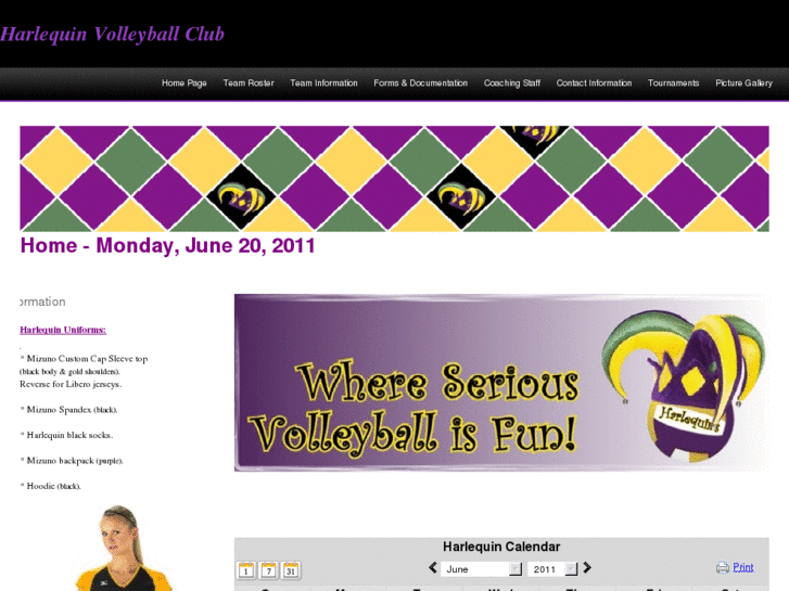 www.harlequinvolleyball.com