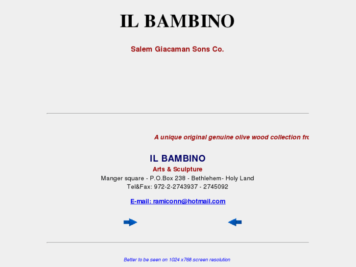 www.ilbambino.org