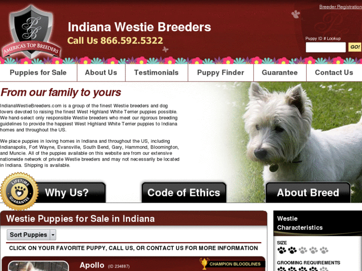 www.indianawestiebreeders.com