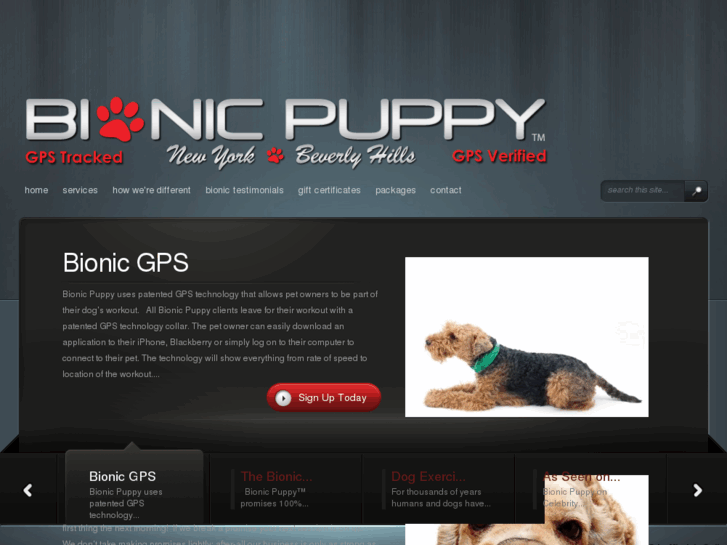 www.thebionicpuppy.com