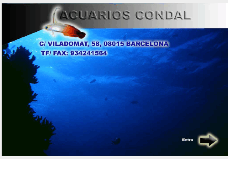 www.acuarioscondal.com