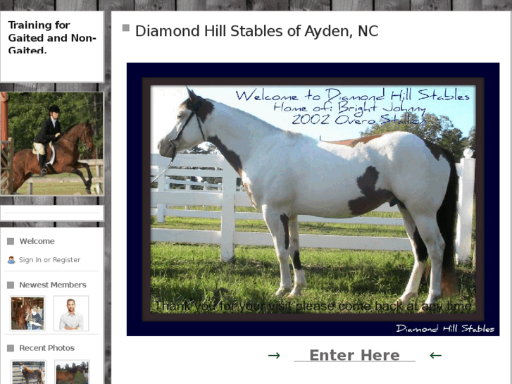 www.diamondhillstables.com