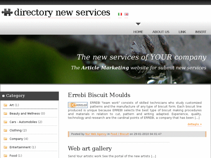 www.directorynewservices.com