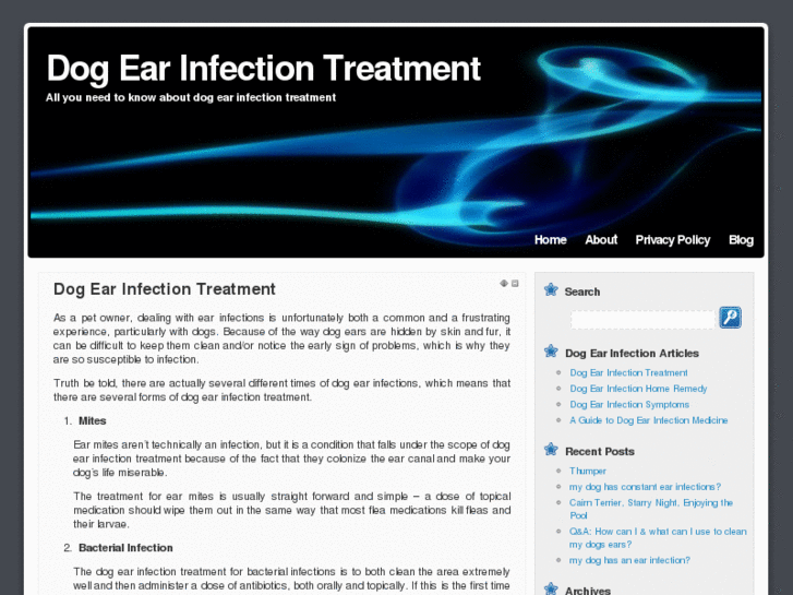 www.dogearinfectiontreatment.com