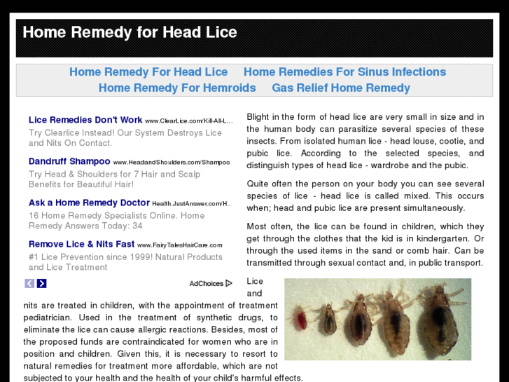 www.homeremedyforheadlice.org