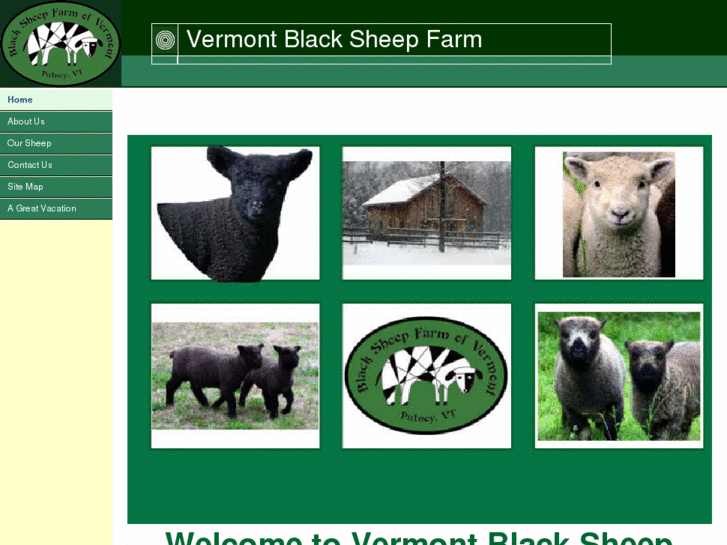 www.vermontblacksheepfarm.com