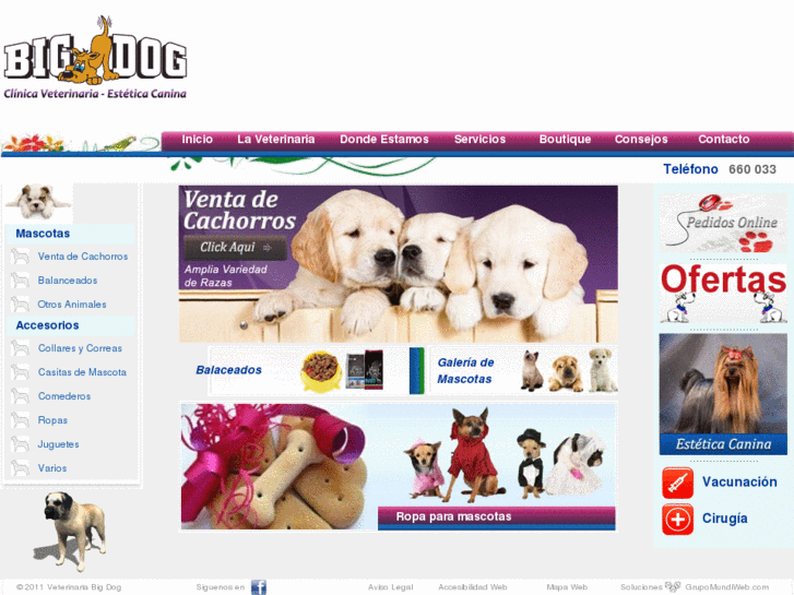 www.veterinariabigdog.com