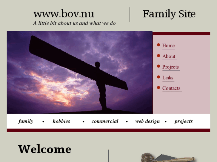 www.bov.nu