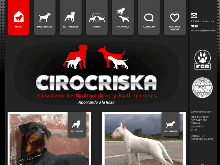 www.cirocriska.com