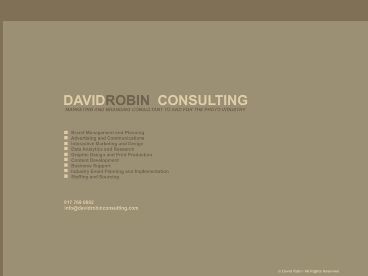 www.davidrobinconsulting.net