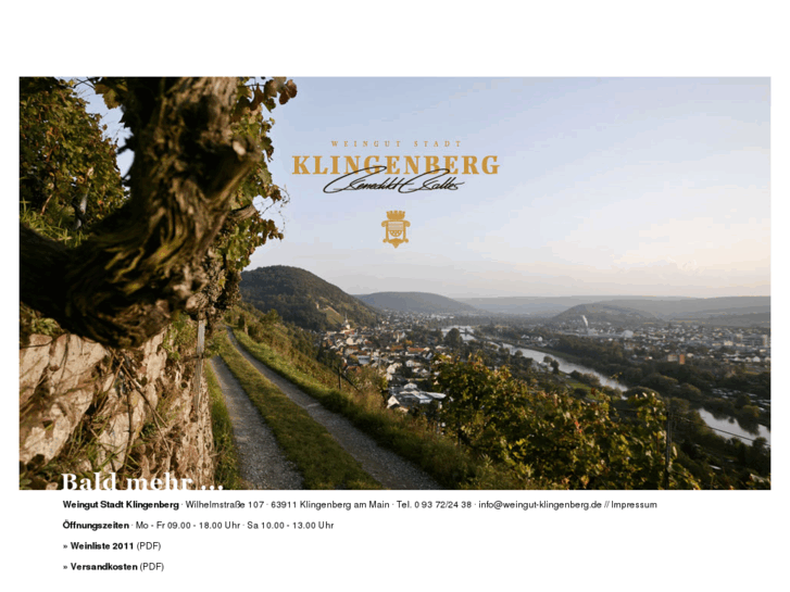 www.weingut-klingenberg.de