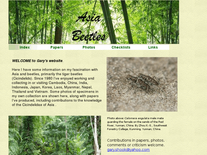 www.asiabeetles.com