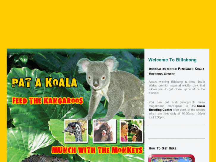 www.billabongkoala.com.au