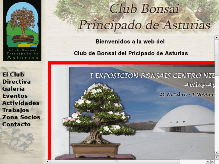 www.bonsaiasturias.es