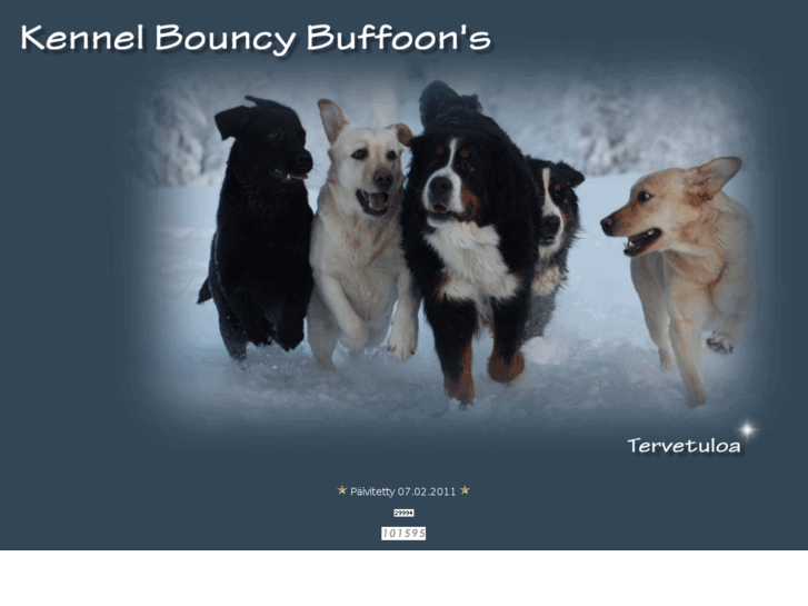 www.bouncybuffoons.com