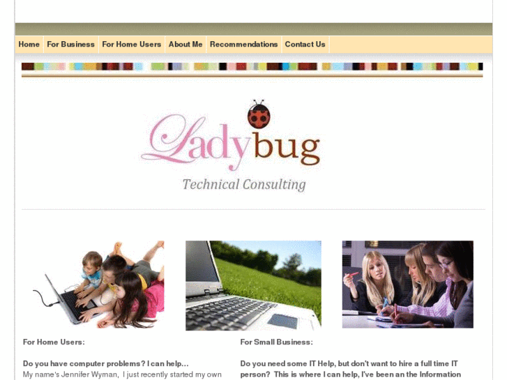 www.ladybugtech.net