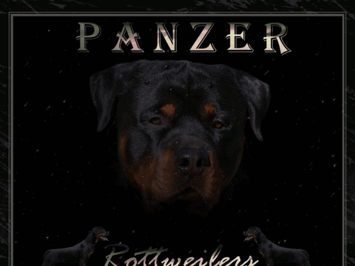 www.panzerrottweilers.com