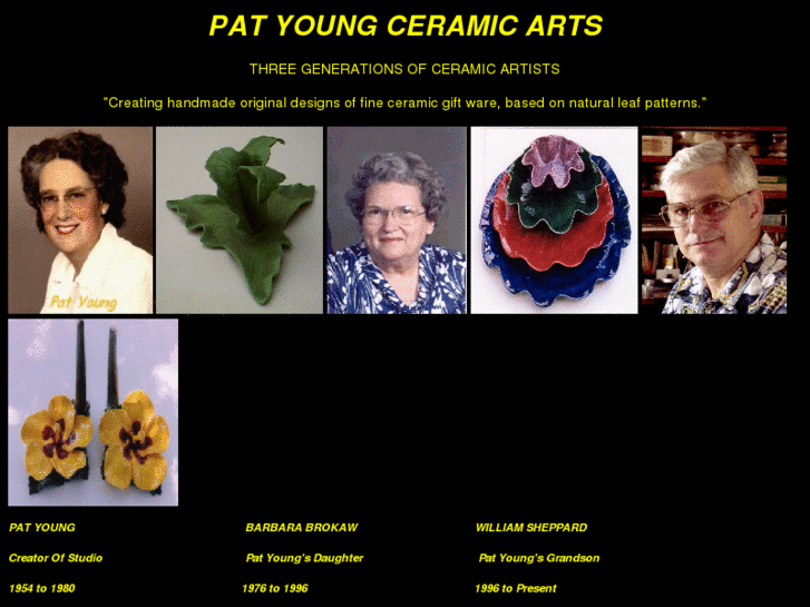 www.patyoungceramicarts.com