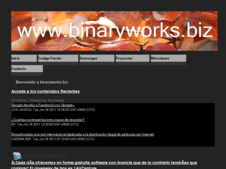 www.binaryworks.biz