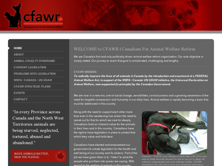 www.cfawr.org