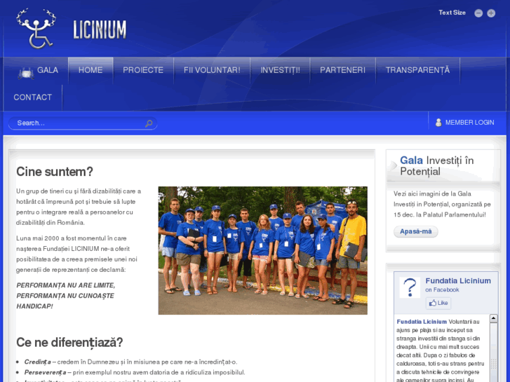 www.licinium.ro