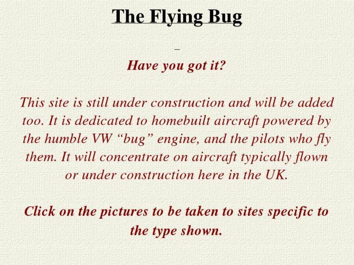 www.theflyingbug.com