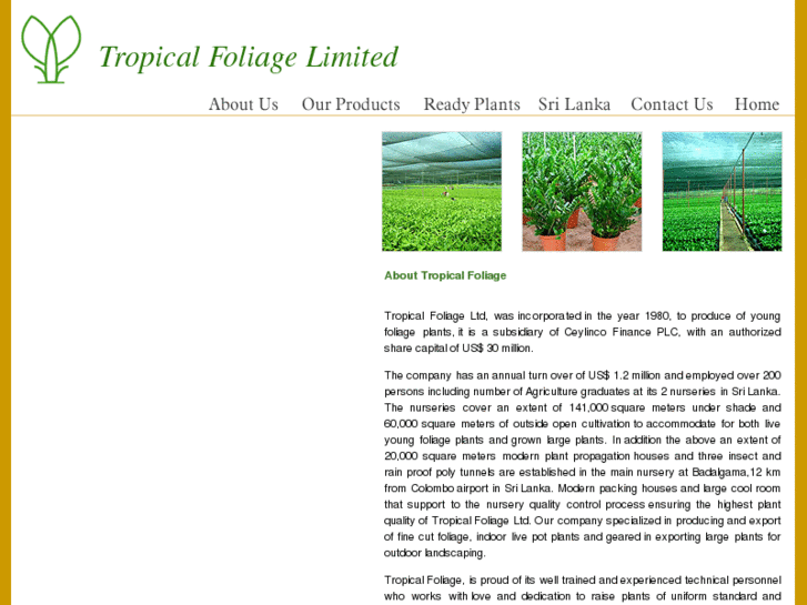 www.tropicalfoliagesrilanka.com