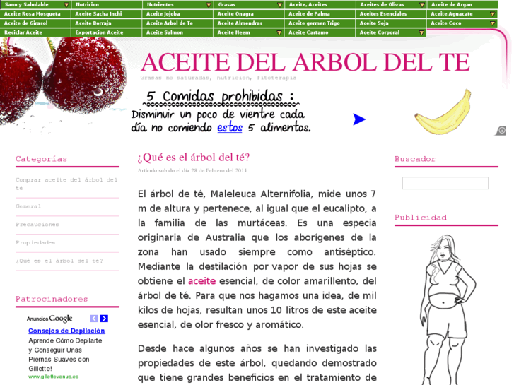 www.aceitearboldelte.com