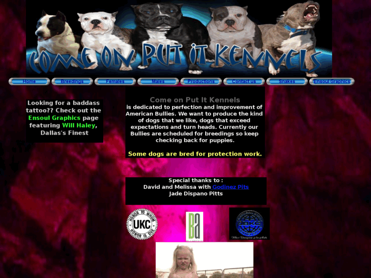 www.comeonputitkennels.com