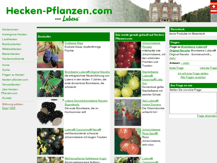 www.hecken-pflanzen.com