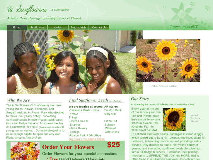 www.iiisunflowers.com