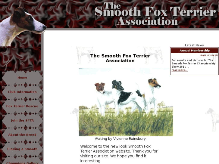 www.smoothfoxterrierassociation.co.uk