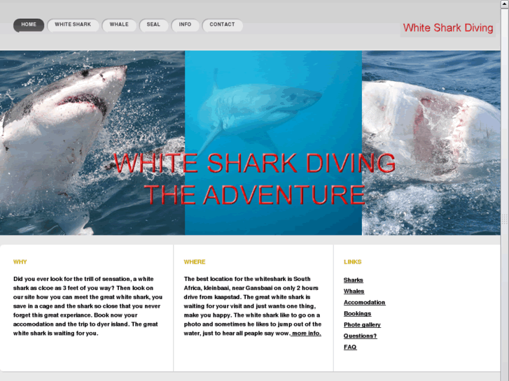 www.white-shark-diving.net