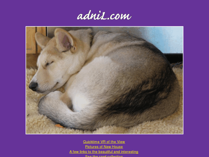 www.adnil.com
