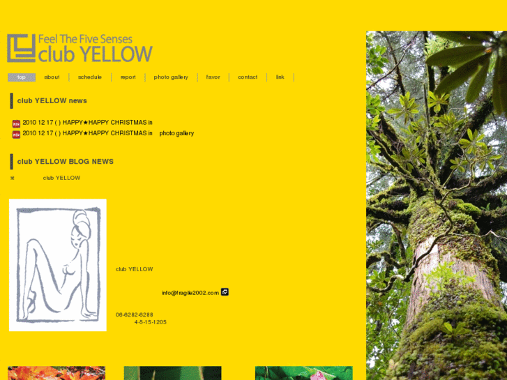 www.c-yellow.com
