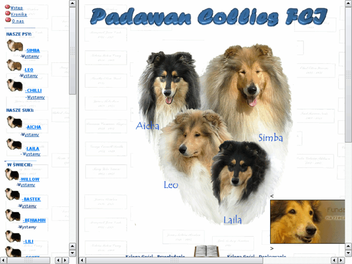 www.padawancollies.com