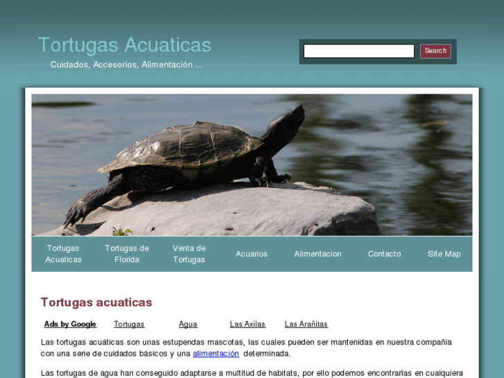 www.tortugasacuaticas.com