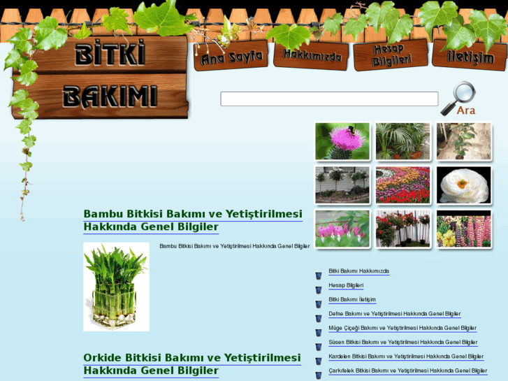 www.bitkibakimi.com