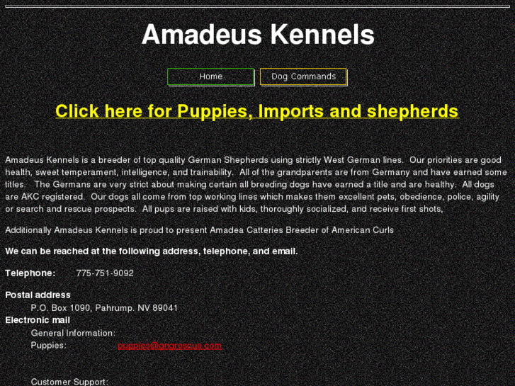 www.gngrescue.com