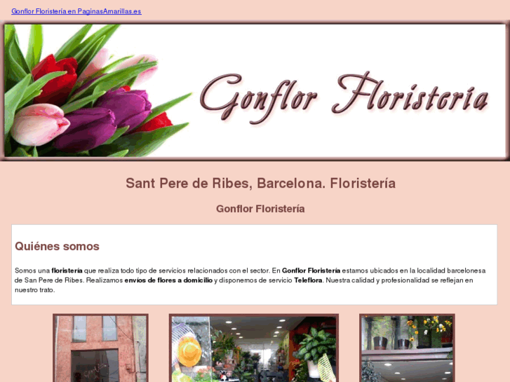 www.gonflor.com