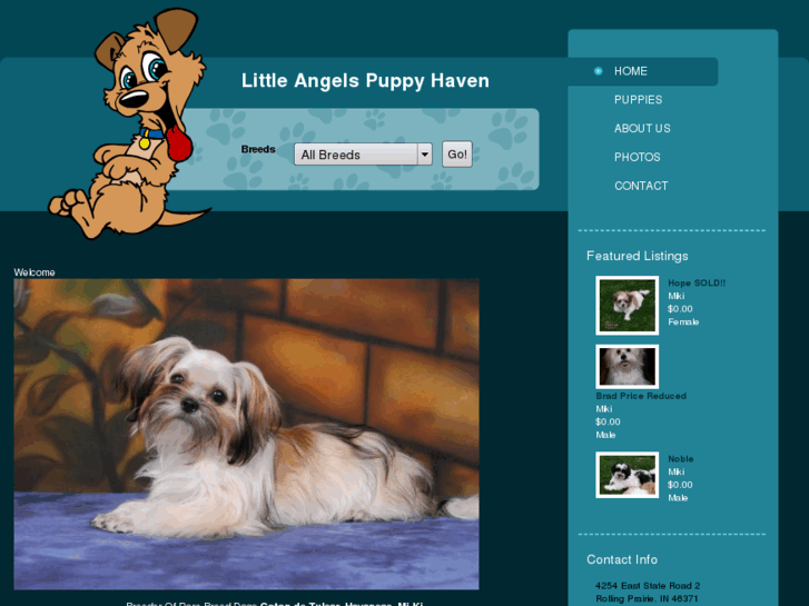 www.littleangelspuppyhaven.com