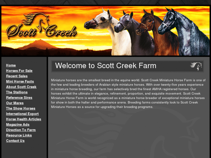 www.scottcreek.com