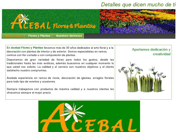 www.acebalfloresyplantas.com