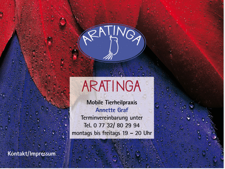 www.aratinga.info